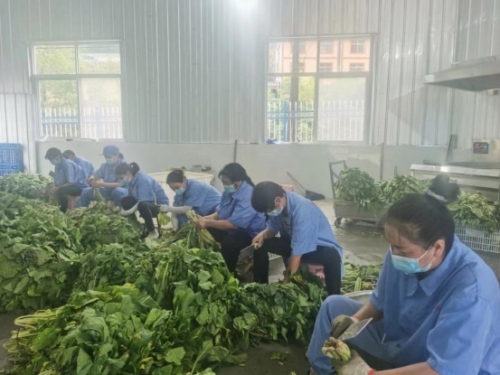 2022年9月15日，位于杨家院子的岚皋县嘉瑞祥农产品开发有限公司车间，员工正加工从农户收来的油菜。陈延安 摄