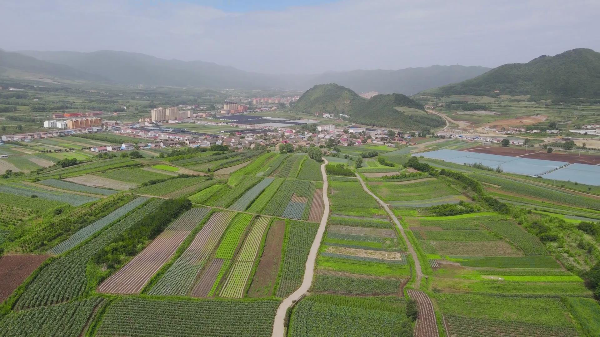 太白县咀头镇塘口村的蔬菜种植大田。（资料图）