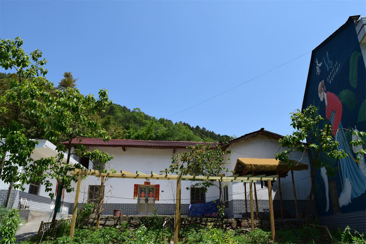生机盎然的乡村振兴图卷