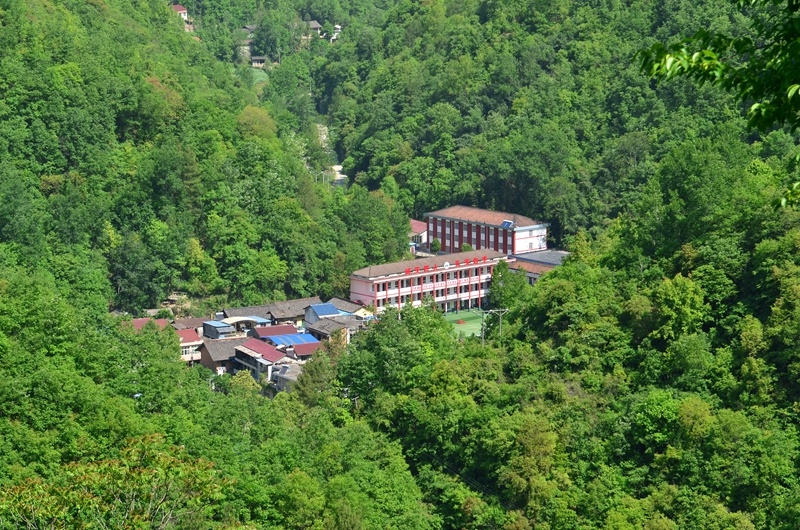 掩映在绿树丛中的宁强县巨亭镇曾家河村。（本文图片由吴天文拍摄）