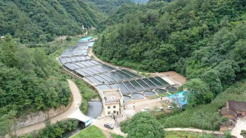 坐落在青山绿水中的商南县黑龙水产养殖基地 代绪刚 摄