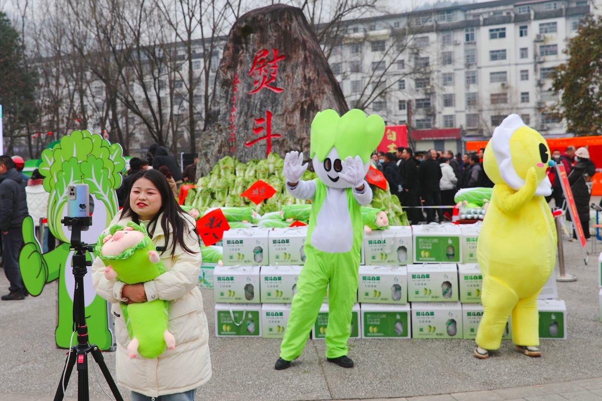 陕西石泉县举办首届“白菜纳福·熨味飘香”丰收节
