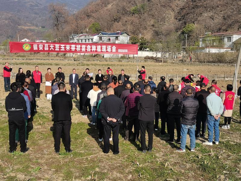 镇安县农业农村局在回龙镇回龙村组织召开大豆玉米带状种植现场会。群众新闻 供图