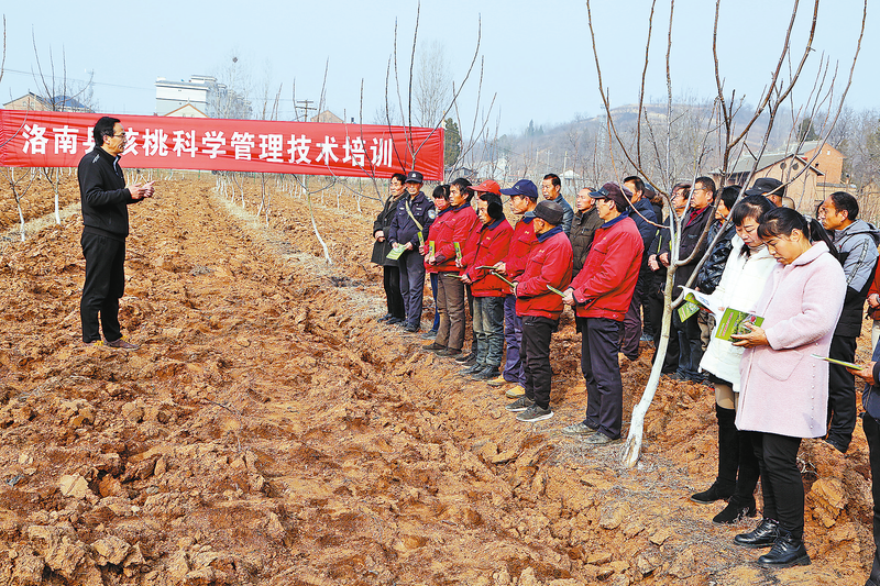 培训到田间地头王孝竹 摄